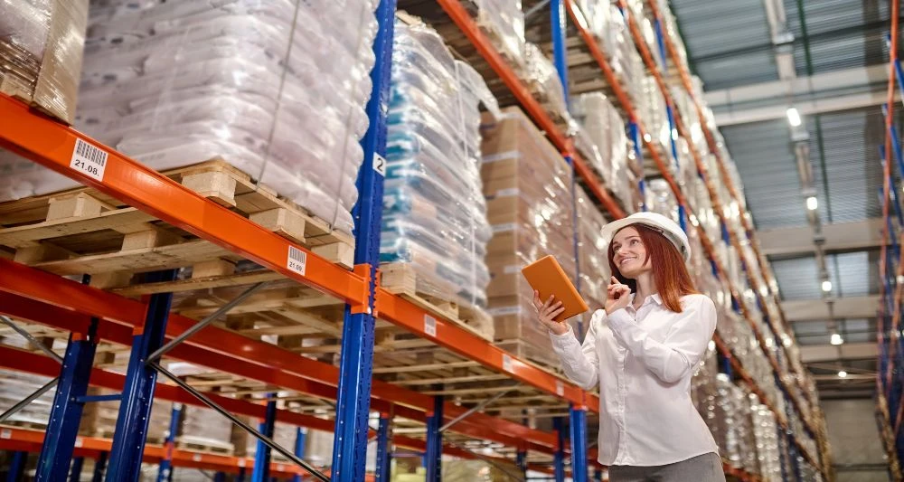 inventarios productos termidos